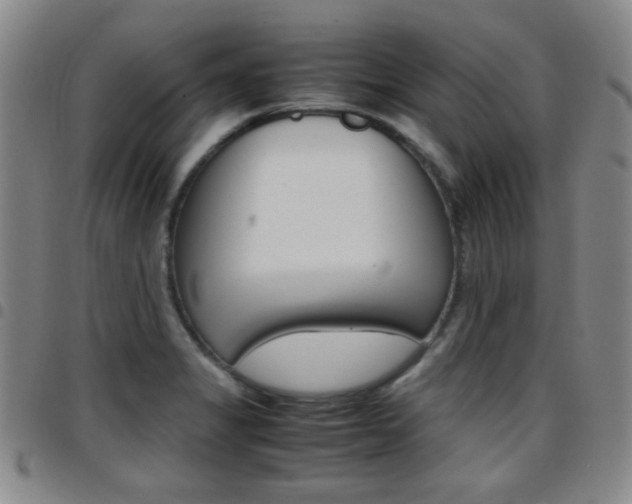 X0000097921325200803141022
