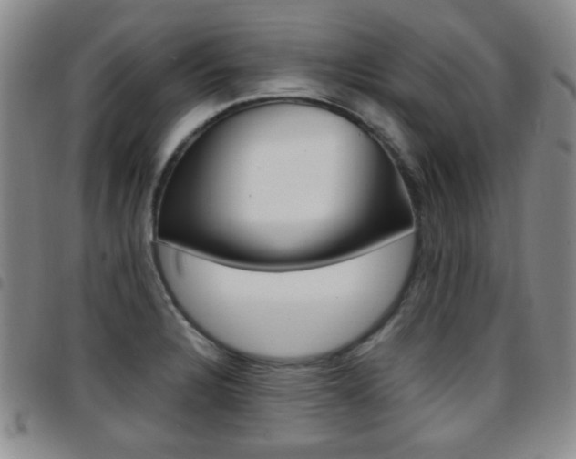 X0000097921328200803141022