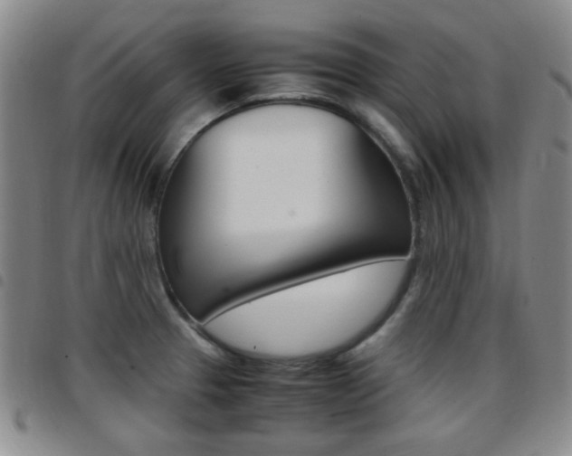 X0000097921329200803141022