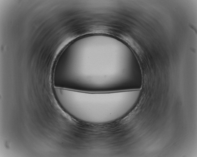 X0000097921331200803141022