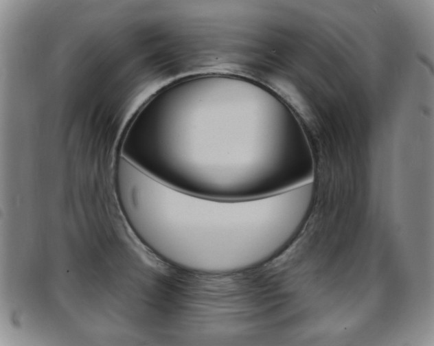 X0000097921332200803141022