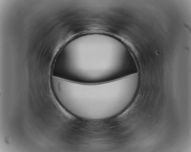 X0000097921333200803141022
