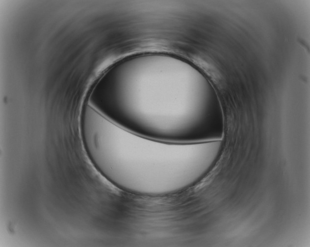 X0000097921334200803141022