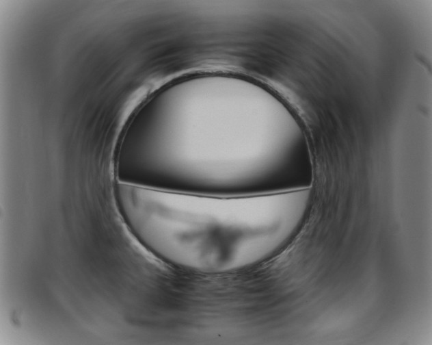 X0000097921335200803141022