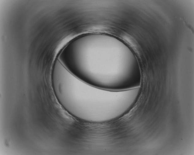 X0000097921336200803141023