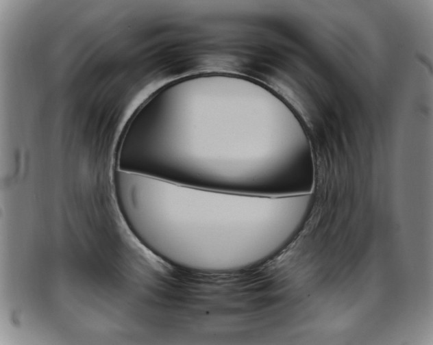 X0000097921339200803141023