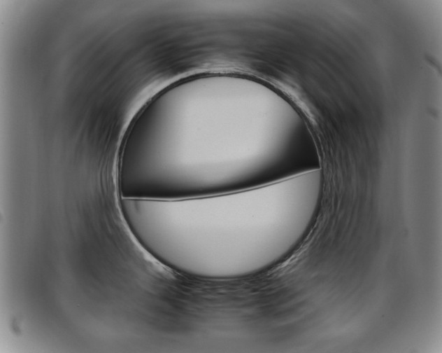 X0000097921343200803141023
