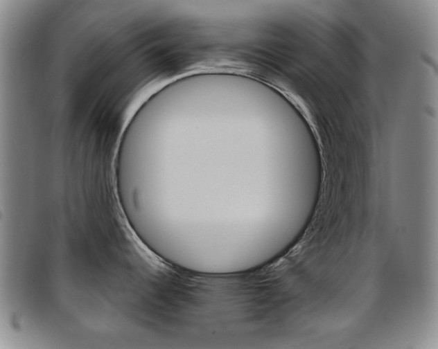 X0000097921344200803141023