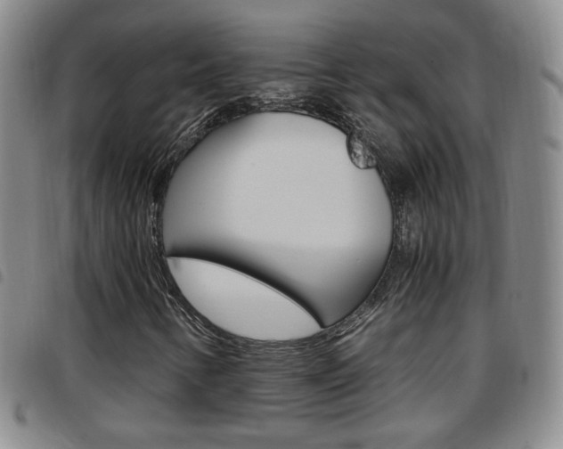 X0000097921346200803141022
