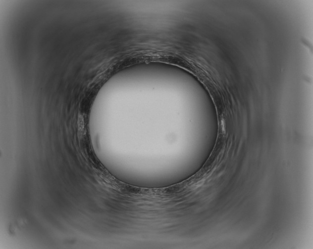 X0000097921347200803141022