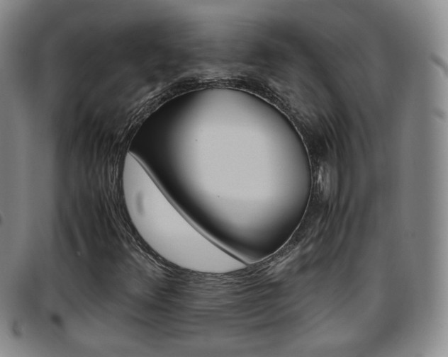 X0000097921348200803141022