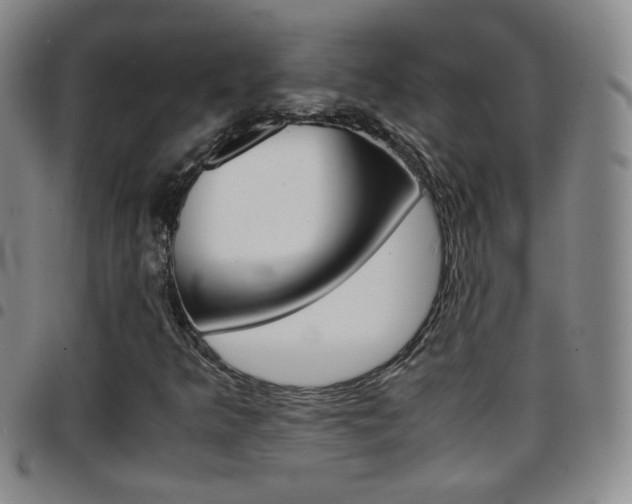 X0000097921349200803141022