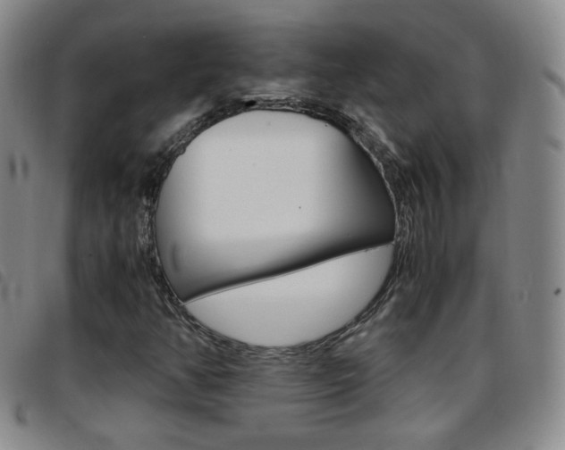 X0000097921350200803141022