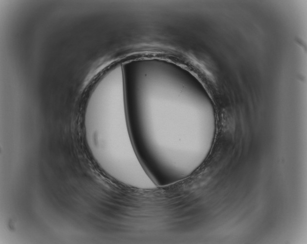 X0000097921352200803141022