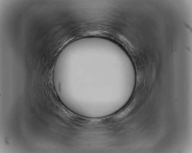 X0000097921353200803141022