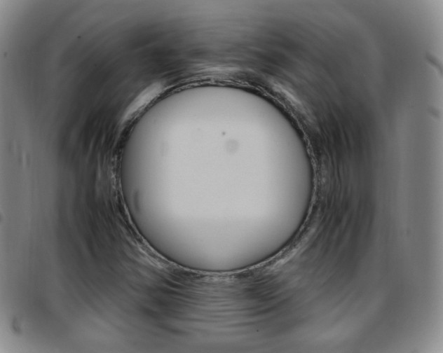 X0000097921354200803141022
