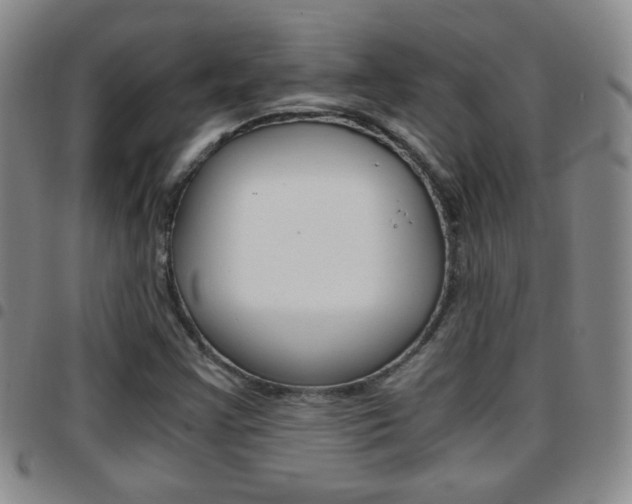 X0000097921355200803141022
