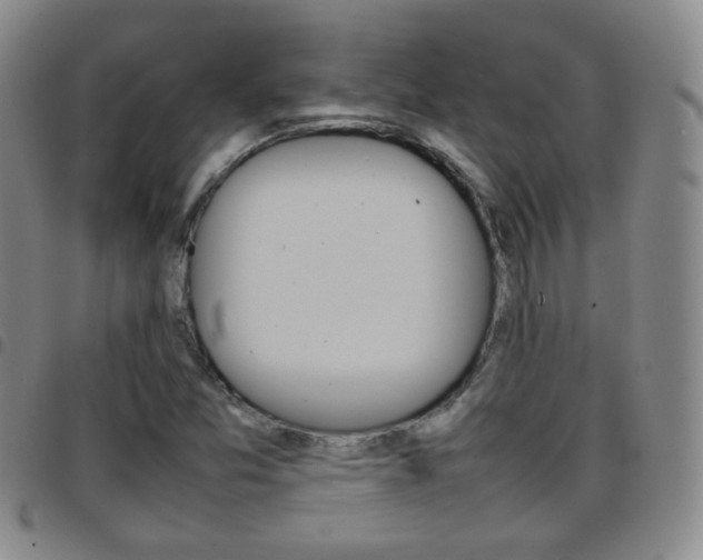 X0000097921357200803141022