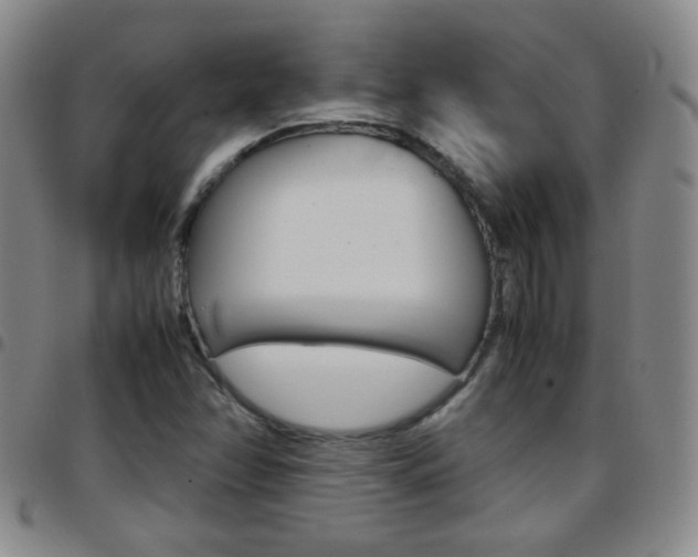 X0000097921358200803141022
