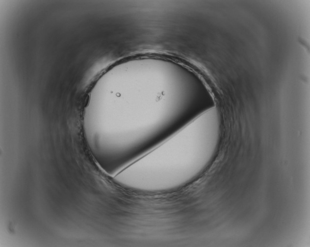 X0000097921359200803141022