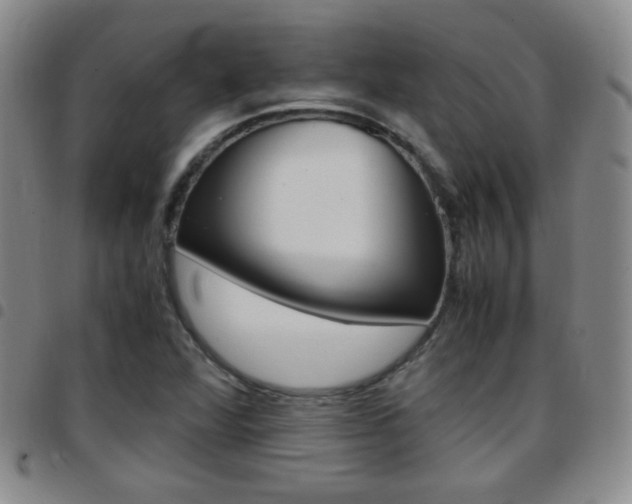 X0000097921360200803141022