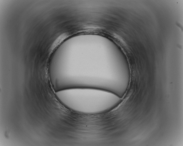 X0000097921362200803141022
