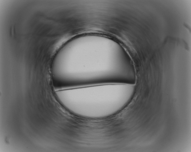 X0000097921363200803141022