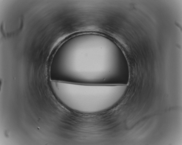 X0000097921364200803141022
