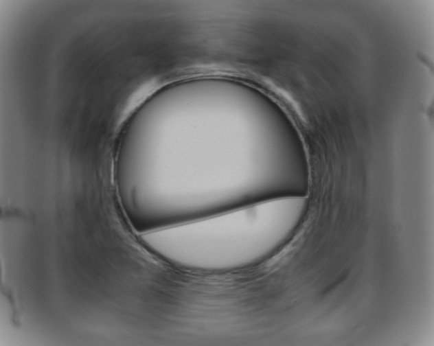 X0000097921365200803141022