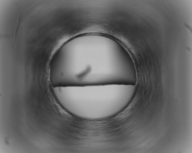 X0000097921366200803141022