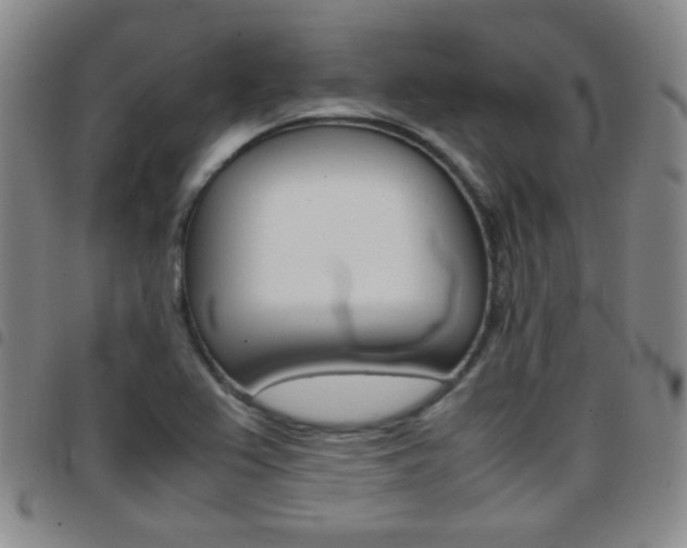 X0000097921367200803141021