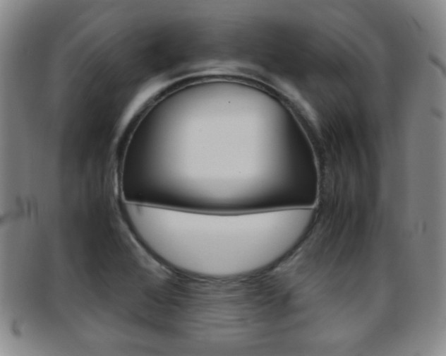 X0000097921368200803141021