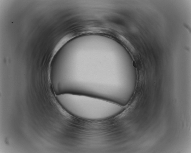 X0000097921370200803141021