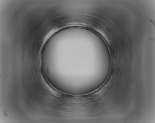 X0000097921371200803141021