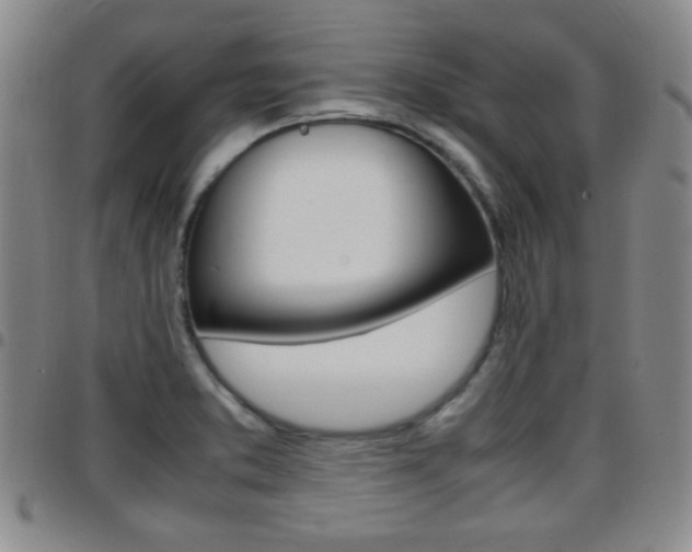 X0000097921373200803141021