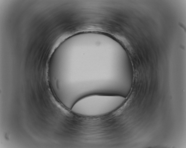 X0000097921374200803141021