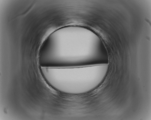 X0000097921375200803141021