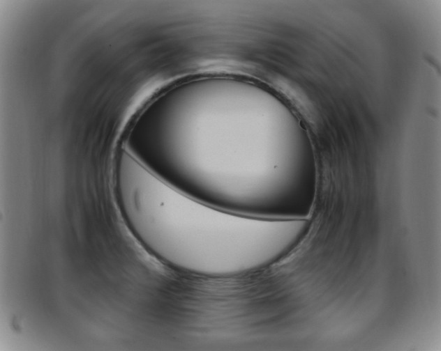 X0000097921376200803141021