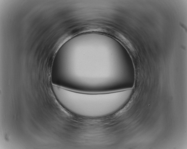 X0000097921377200803141021