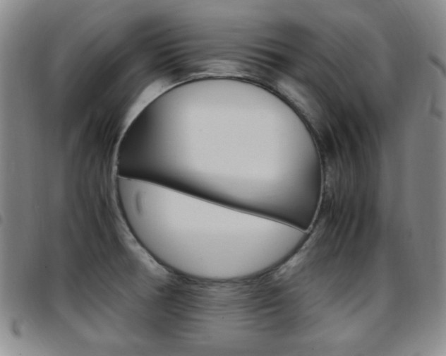 X0000097921378200803141021