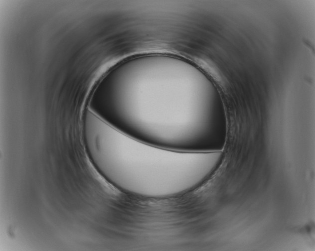 X0000097921380200803141021