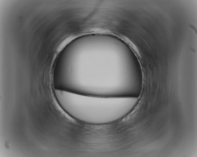 X0000097921381200803141021