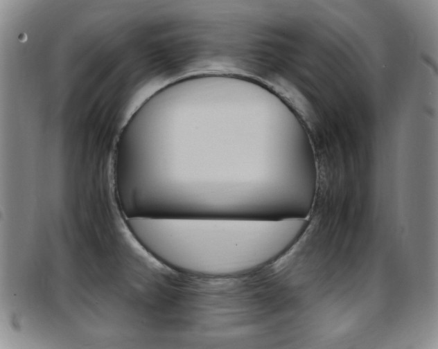 X0000097921382200803141021