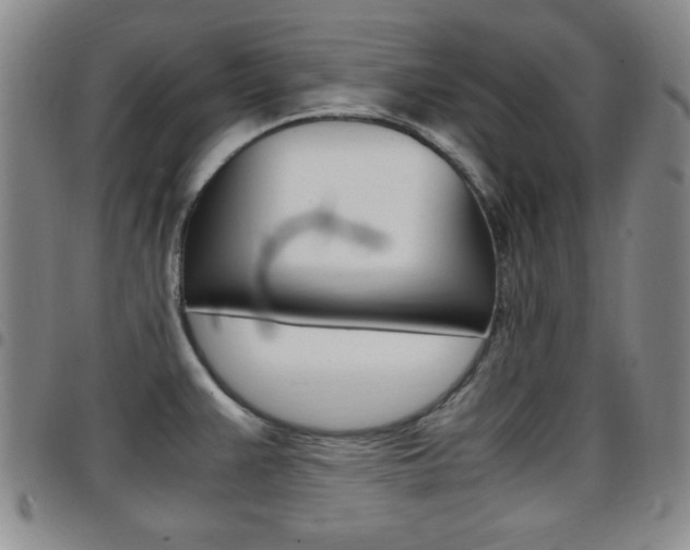 X0000097921383200803141021
