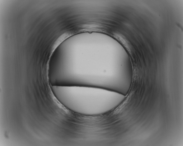 X0000097921386200803141021