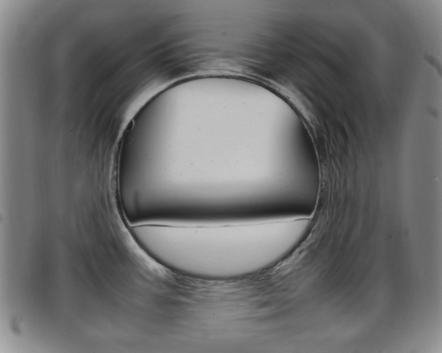 X0000097921387200803141021