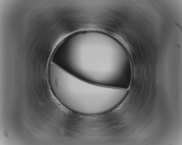 X0000097921388200803141021