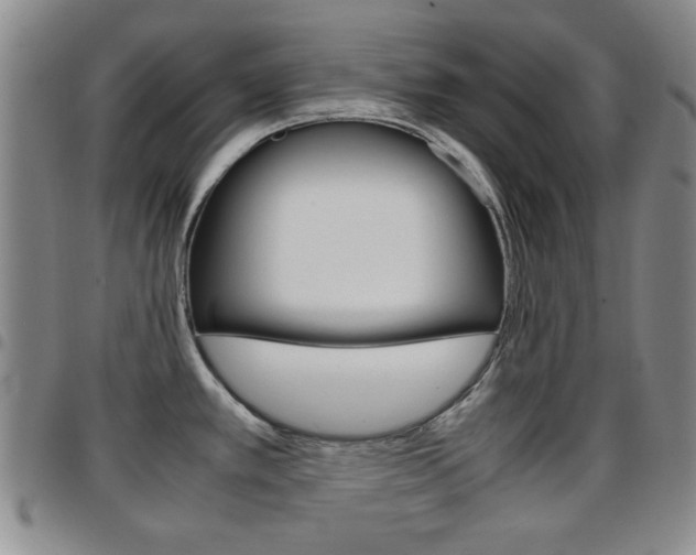 X0000097921389200803141021
