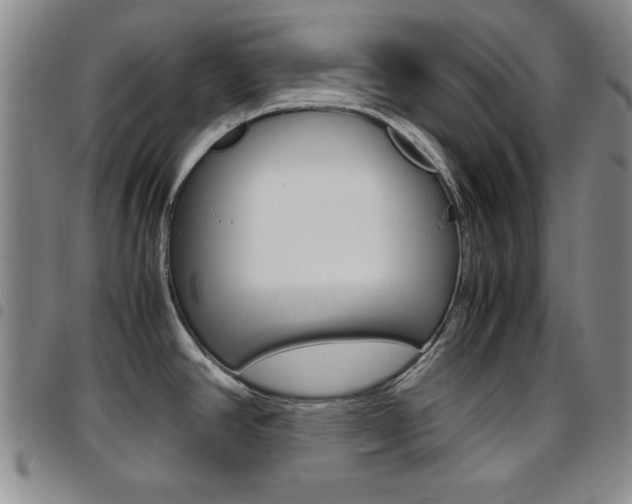 X0000097921390200803141021