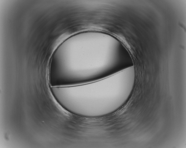 X0000097921391200803141021